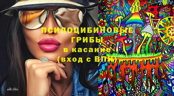 крисы Пересвет