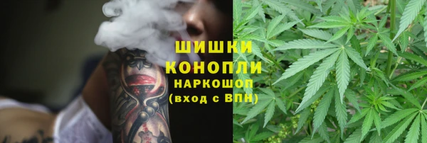 PSILOCYBIN Пестово