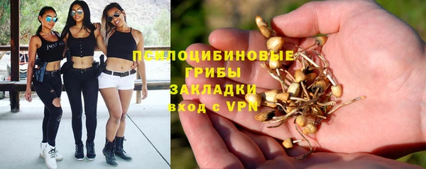 МДПВ Алексин