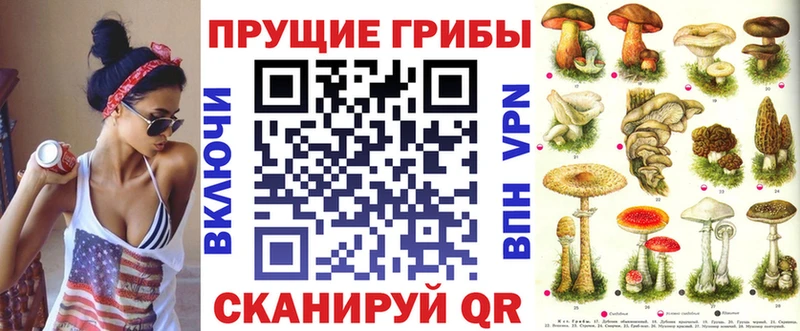 mega онион  Порхов  Псилоцибиновые грибы мицелий  купить  